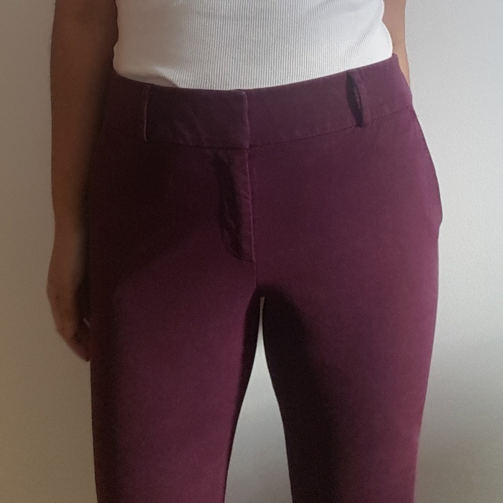 LOFT Purple Skinny Pants